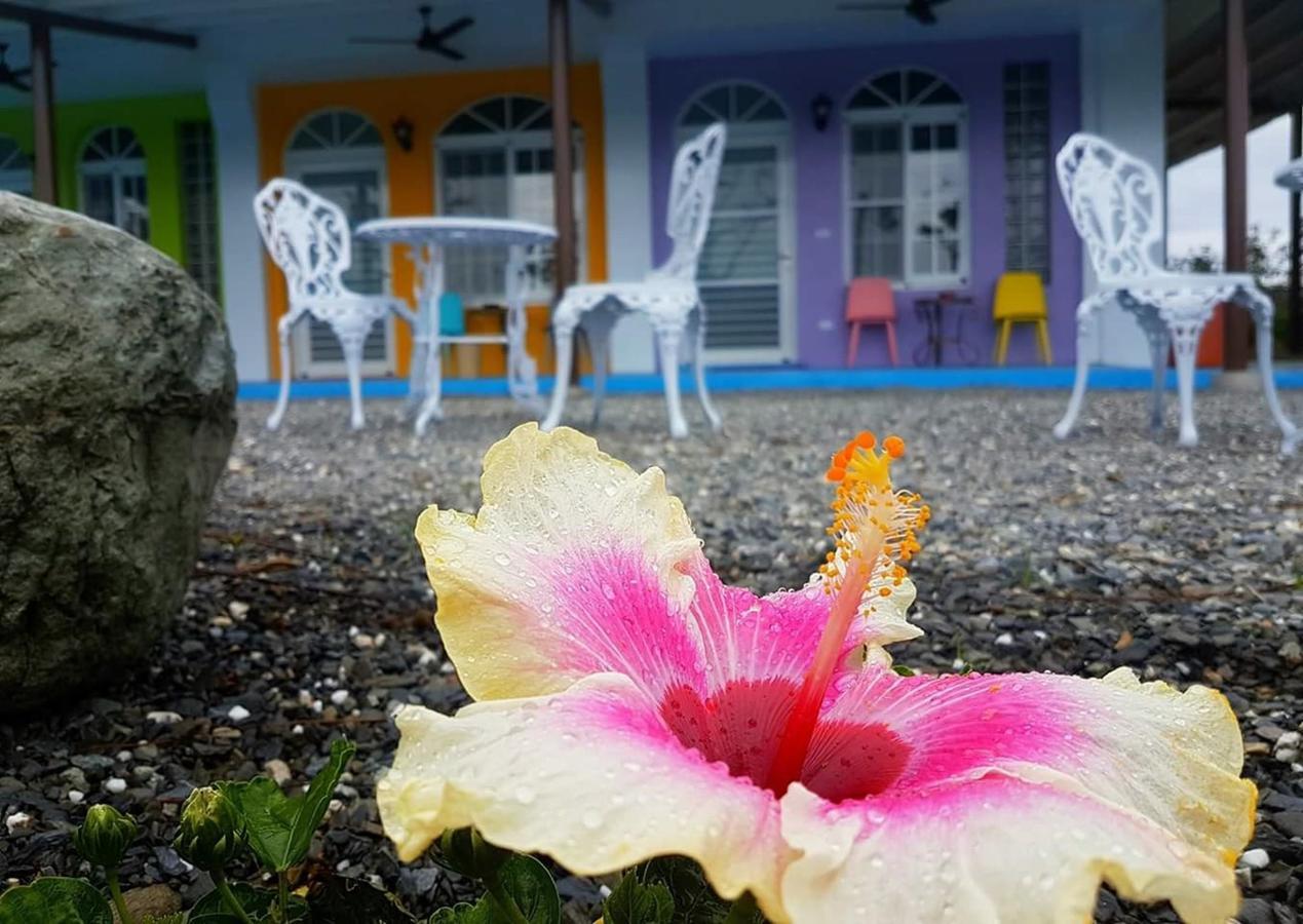 Wei Feng Jia Yuan B&B Taitung Exterior photo